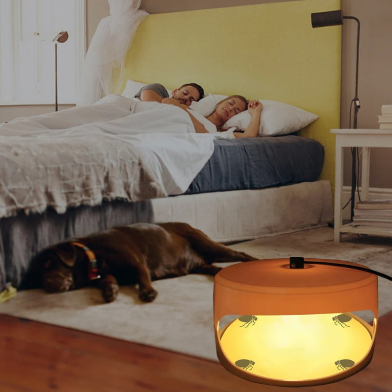 Indoor Sticky Insect Trap for Fleas and Bed Bugs