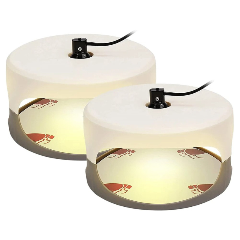 Indoor Sticky Insect Trap for Fleas and Bed Bugs
