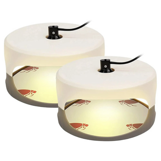 Indoor Sticky Insect Trap for Fleas and Bed Bugs