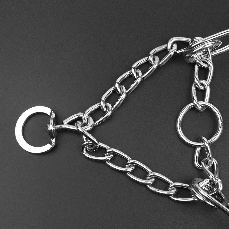 Adjustable Dog Collar for Humane Obedience Training