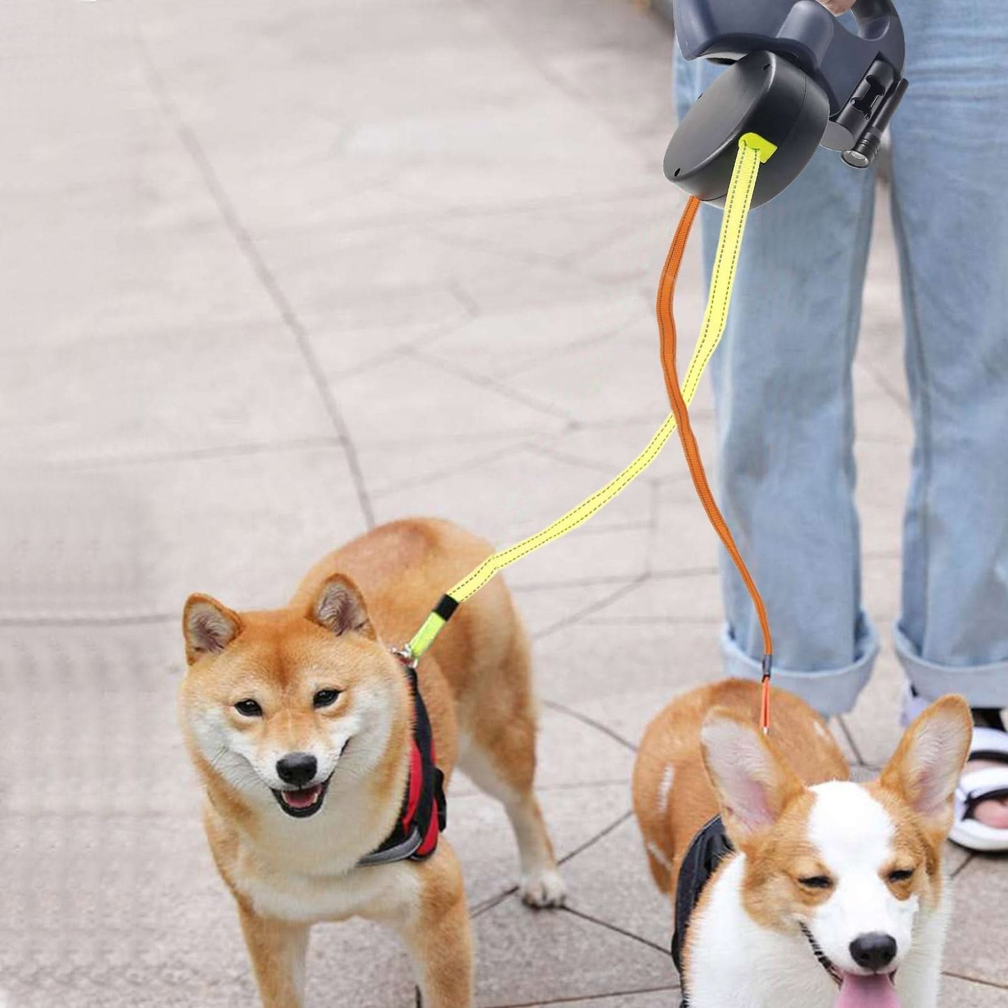 Retractable Leash for Two Dogs with Built-in Flashlight