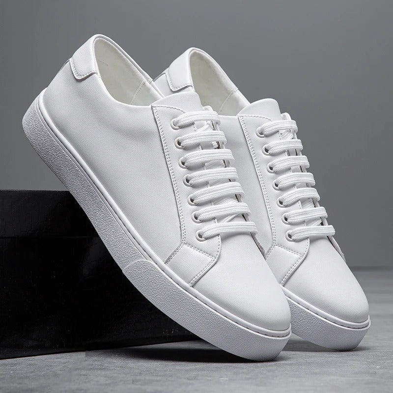 Men's Classic Low-Top Sneakers with Cushioned Sole