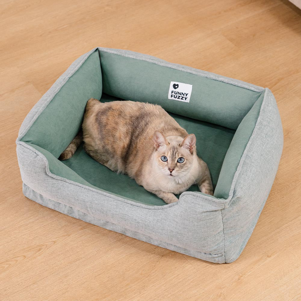 Non-Slip Cat Bed with Soft Bolster for Comfort and Support