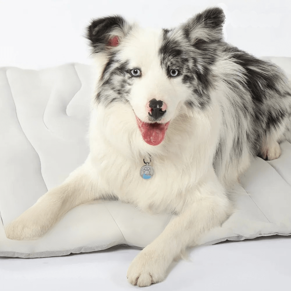 Self-Cooling Dog Mat for Summer Relief - Portable and Machine Washable