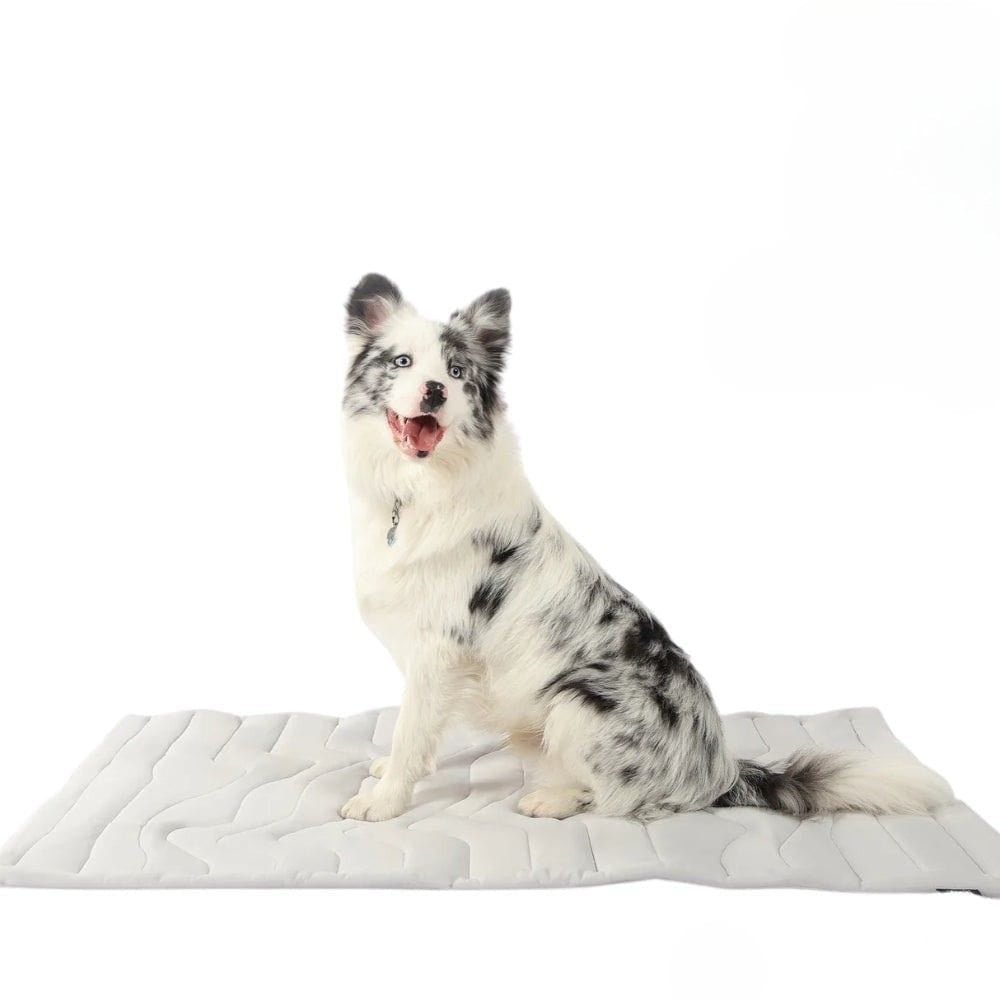 Self-Cooling Dog Mat for Summer Relief - Portable and Machine Washable