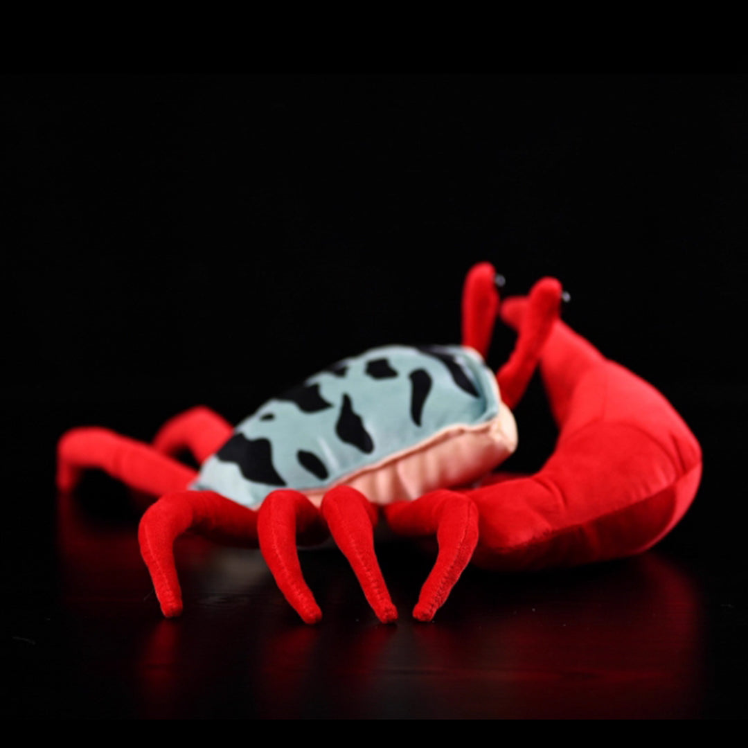 Fiddler Crab Soft Plush Toy for Kids