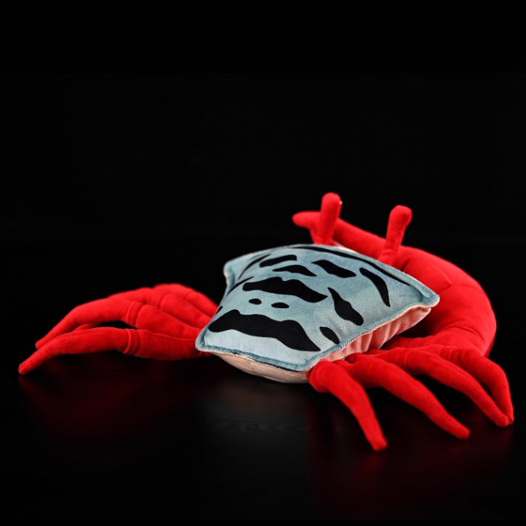 Fiddler Crab Soft Plush Toy for Kids