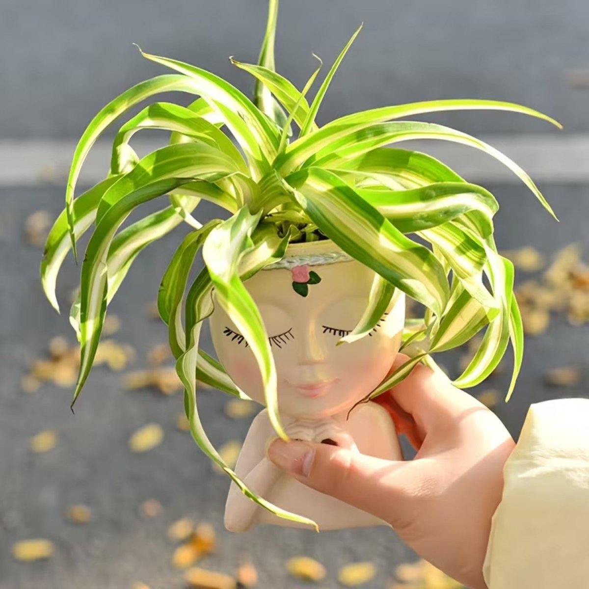 Creative Resin Face Vase for Succulents and Plants