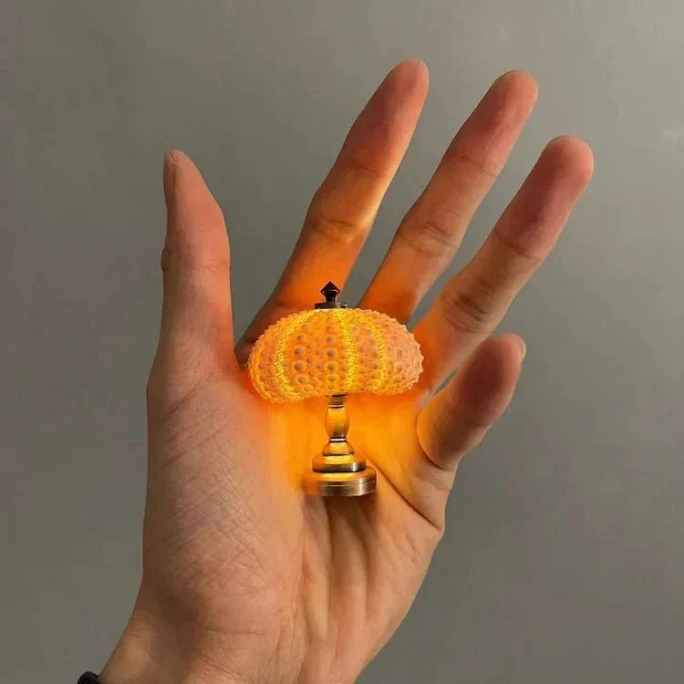 Mini Sea Urchin Shell Table Lamp with Gilded Base