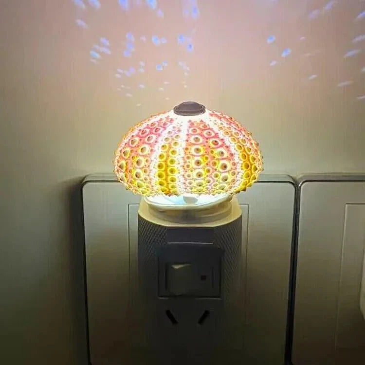 Mini Sea Urchin Shell Table Lamp with Gilded Base