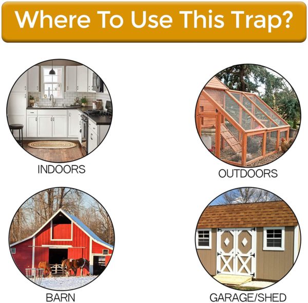 Nontoxic Bucket Lid Mouse Trap for Mice and Rats