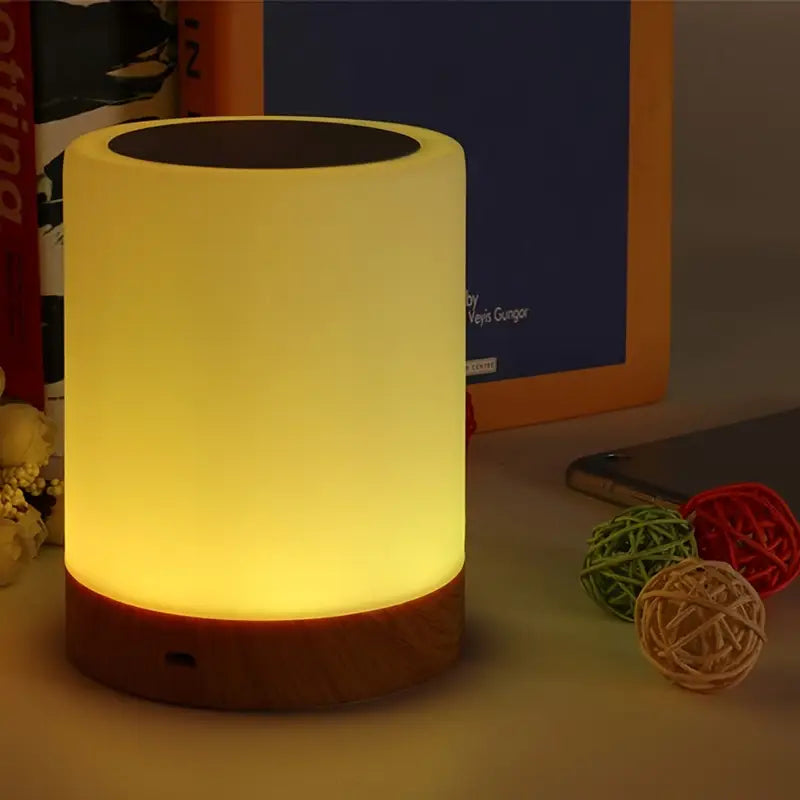Dimmable Adjustable LED Night Light with Color Transition
