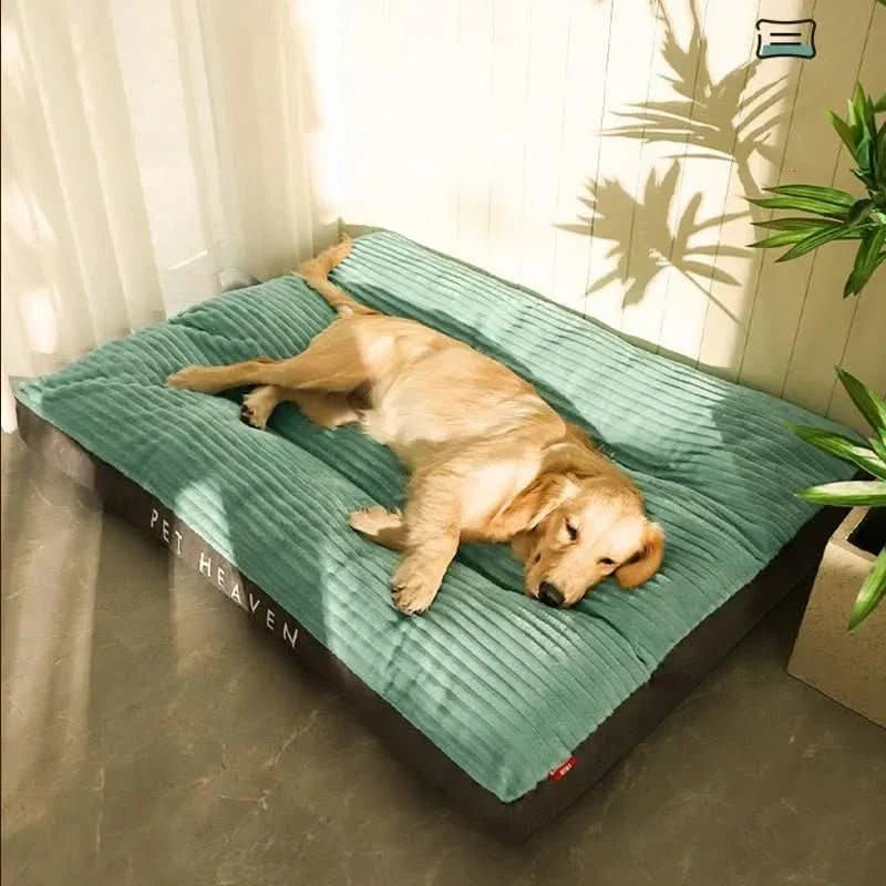 Orthopedic Dog Bed with Plush Cover for Joint Support and Comfort