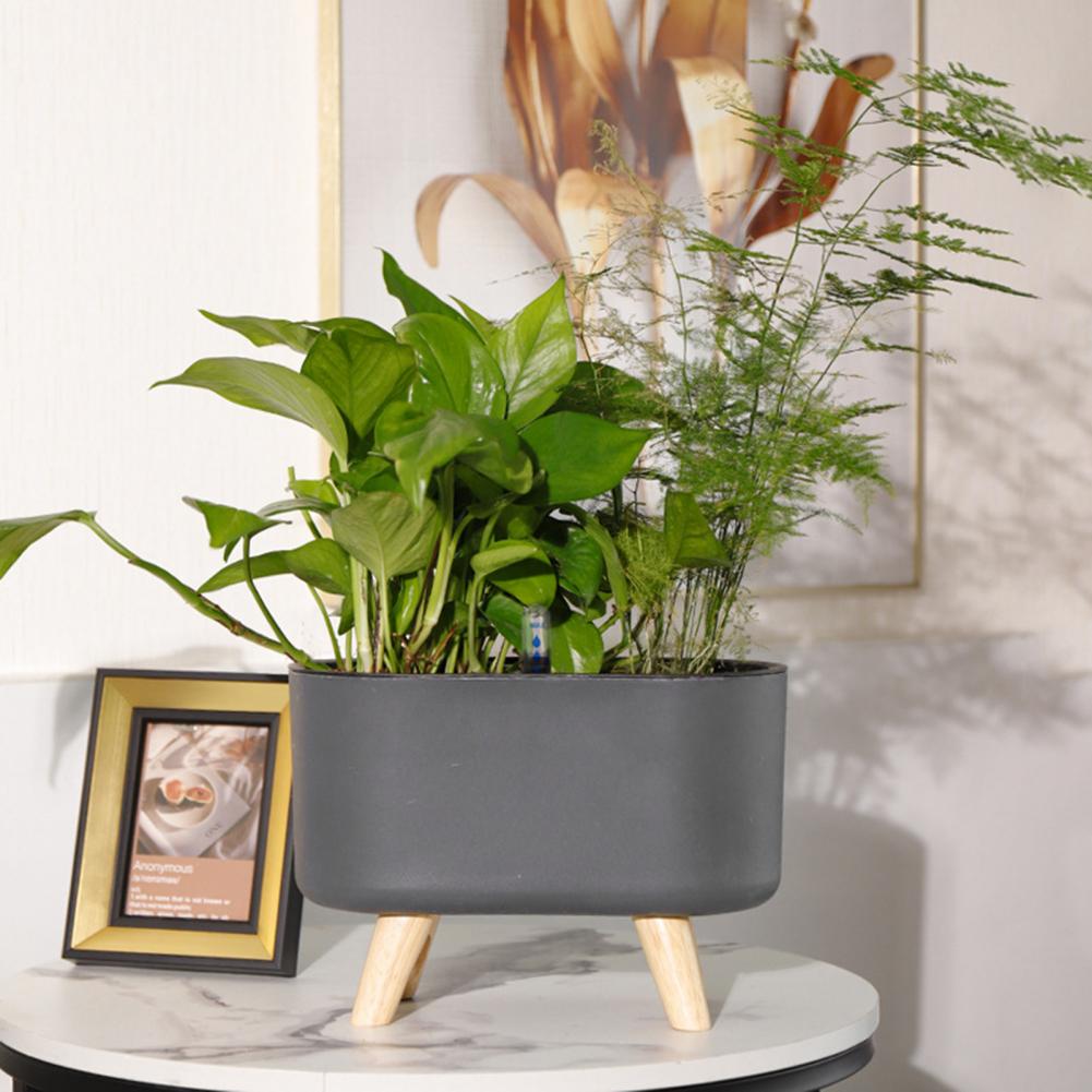 Self-Watering Eco-Friendly Flower Pot