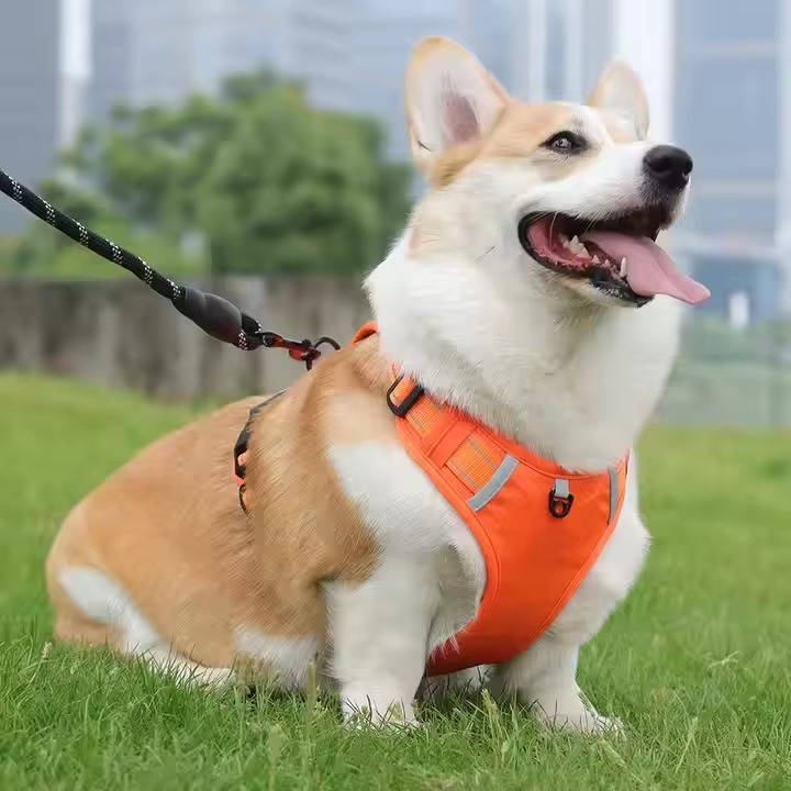 Adjustable Reflective Dog Harness with Breathable Mesh for Small to Medium Dogs