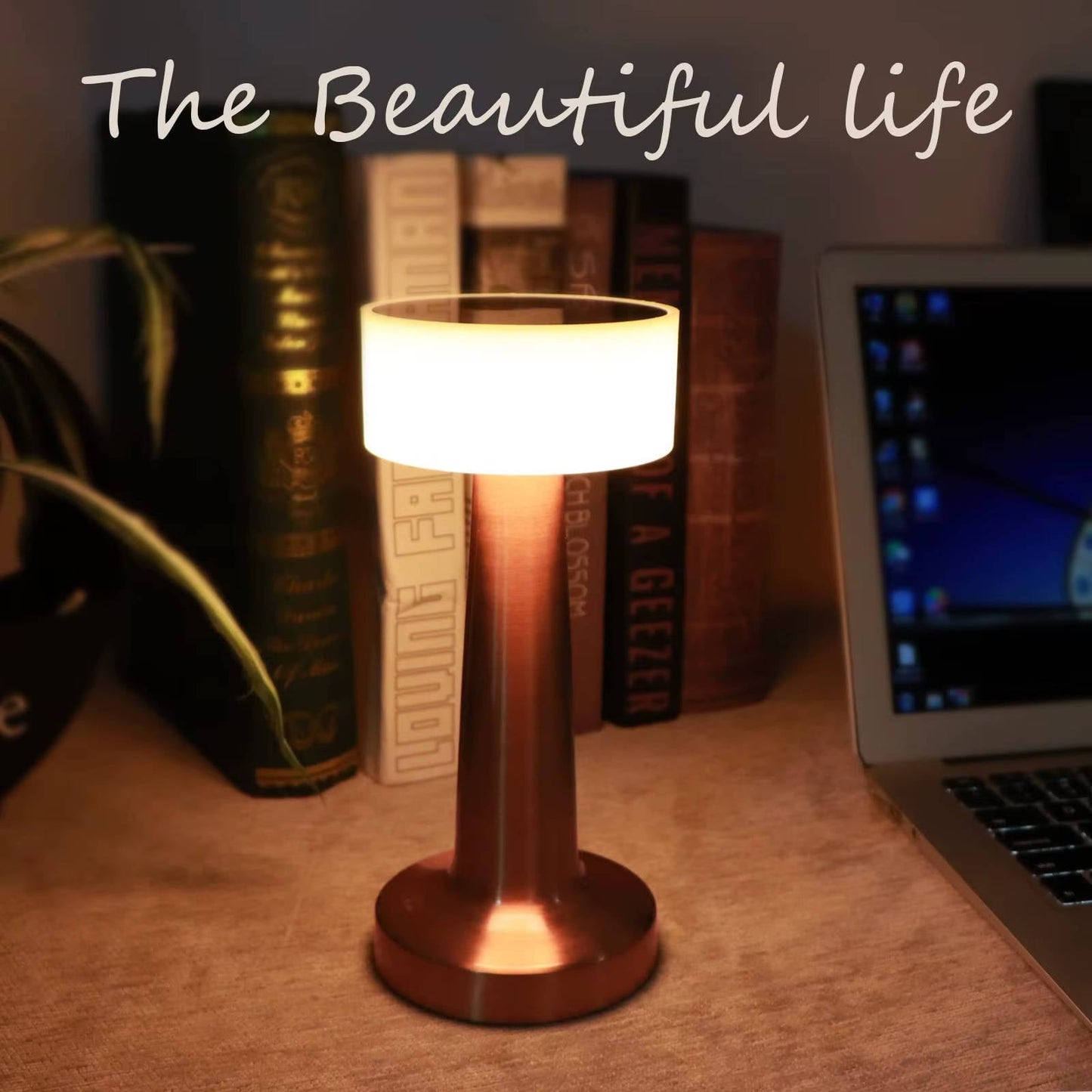 Cordless Rechargeable LED Table Lamp with Touch Sensor and Metal Base
