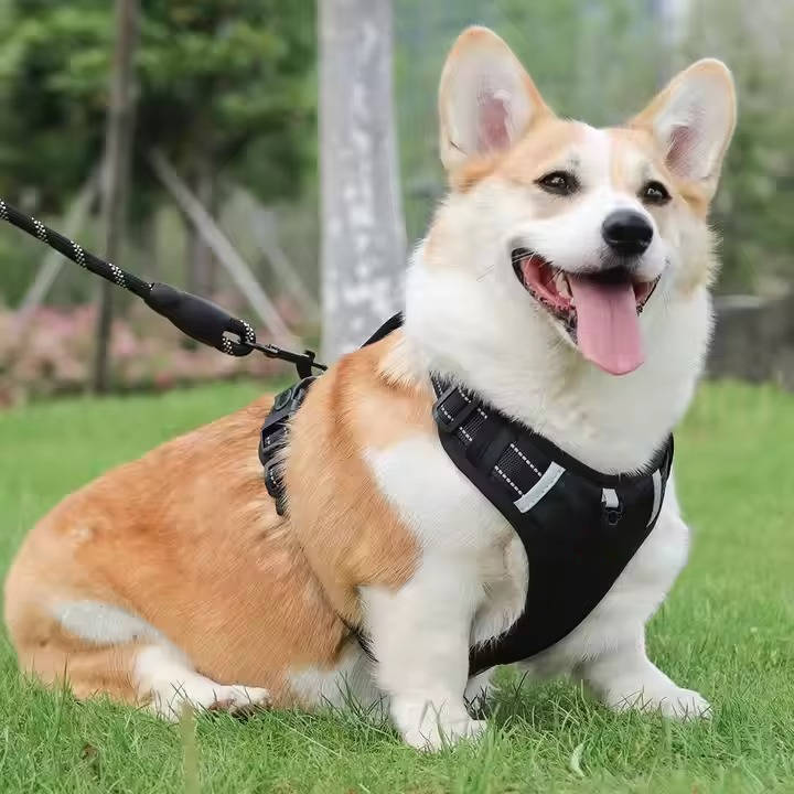 Adjustable Reflective Dog Harness with Breathable Mesh for Small to Medium Dogs