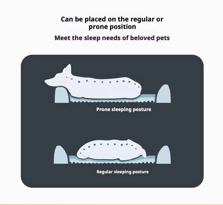 Orthopedic Non-Slip Car Dog Bed for Backseat