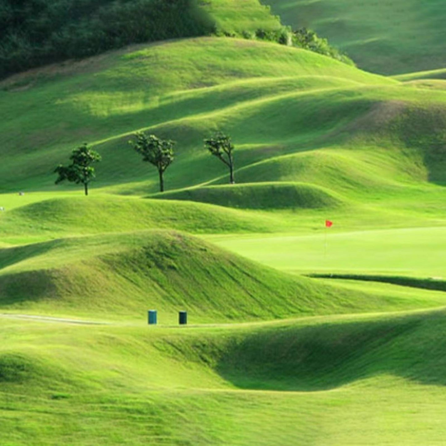 Biodegradable Grass Seed Mat with Moisture Retention