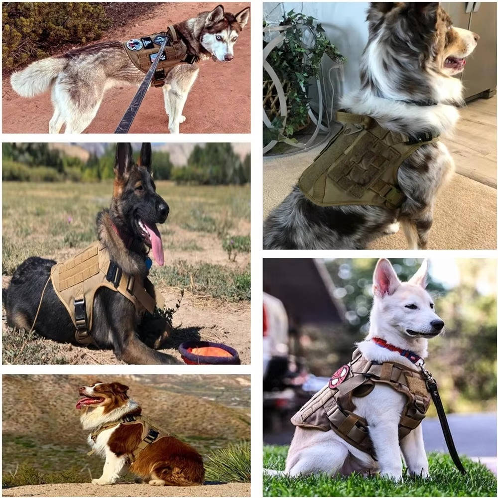 Adjustable Tactical Dog Vest Harness with Leash and Collar for Medium to Large Breeds