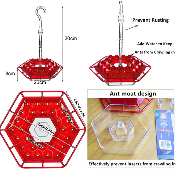 Hummingbird Feeder with Ant Moat and 30 Feeding Tubes