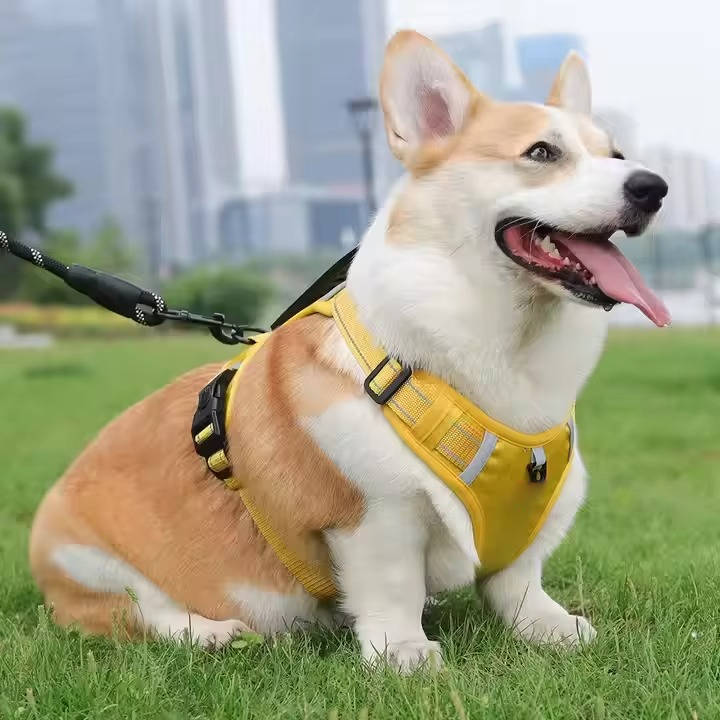 Adjustable Reflective Dog Harness with Breathable Mesh for Small to Medium Dogs