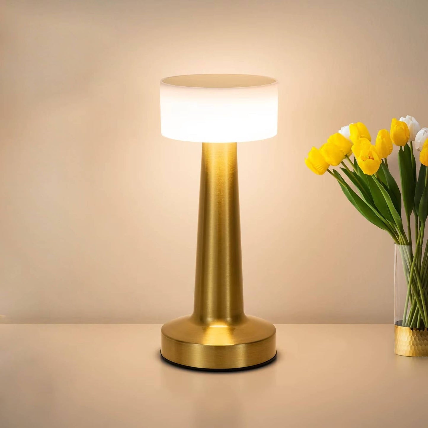 Cordless Rechargeable LED Table Lamp with Touch Sensor and Metal Base