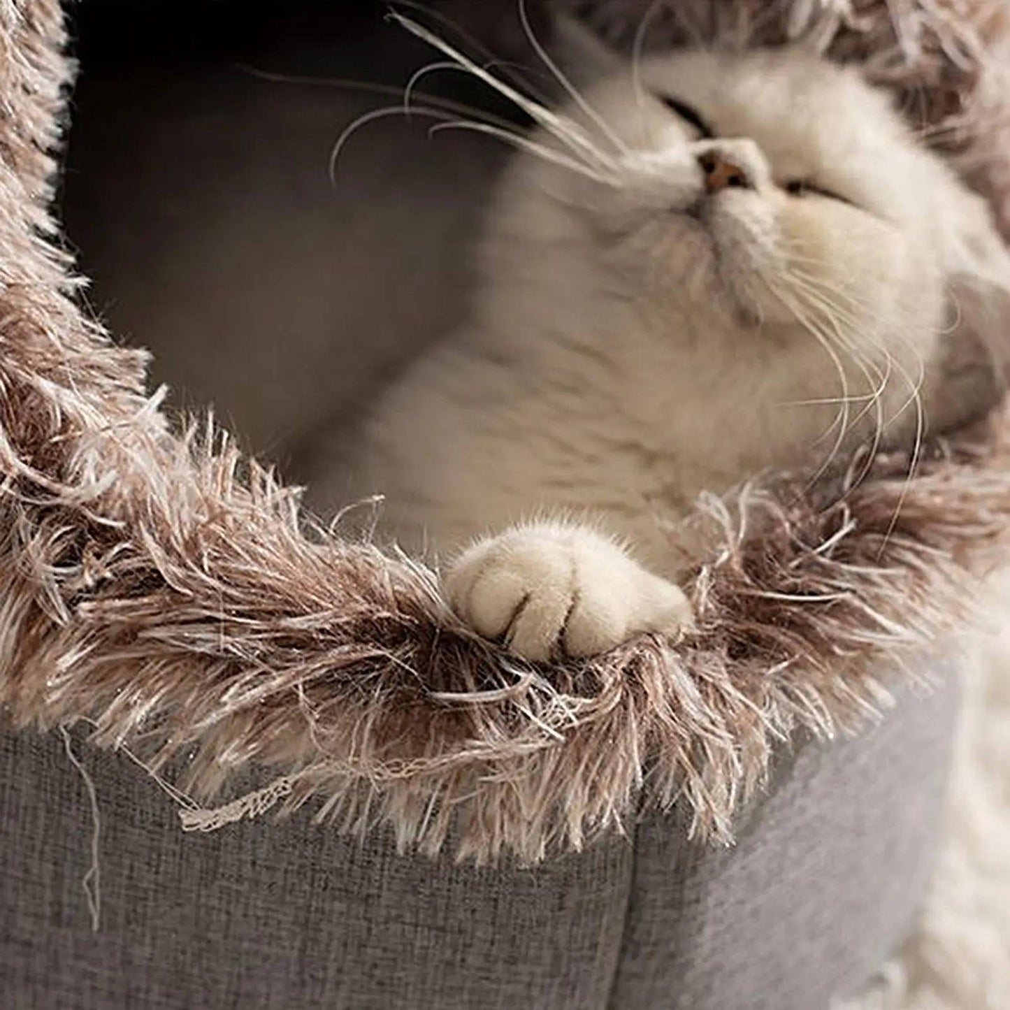 Plush Insulated Winter Cat Bed with Carrying Strap