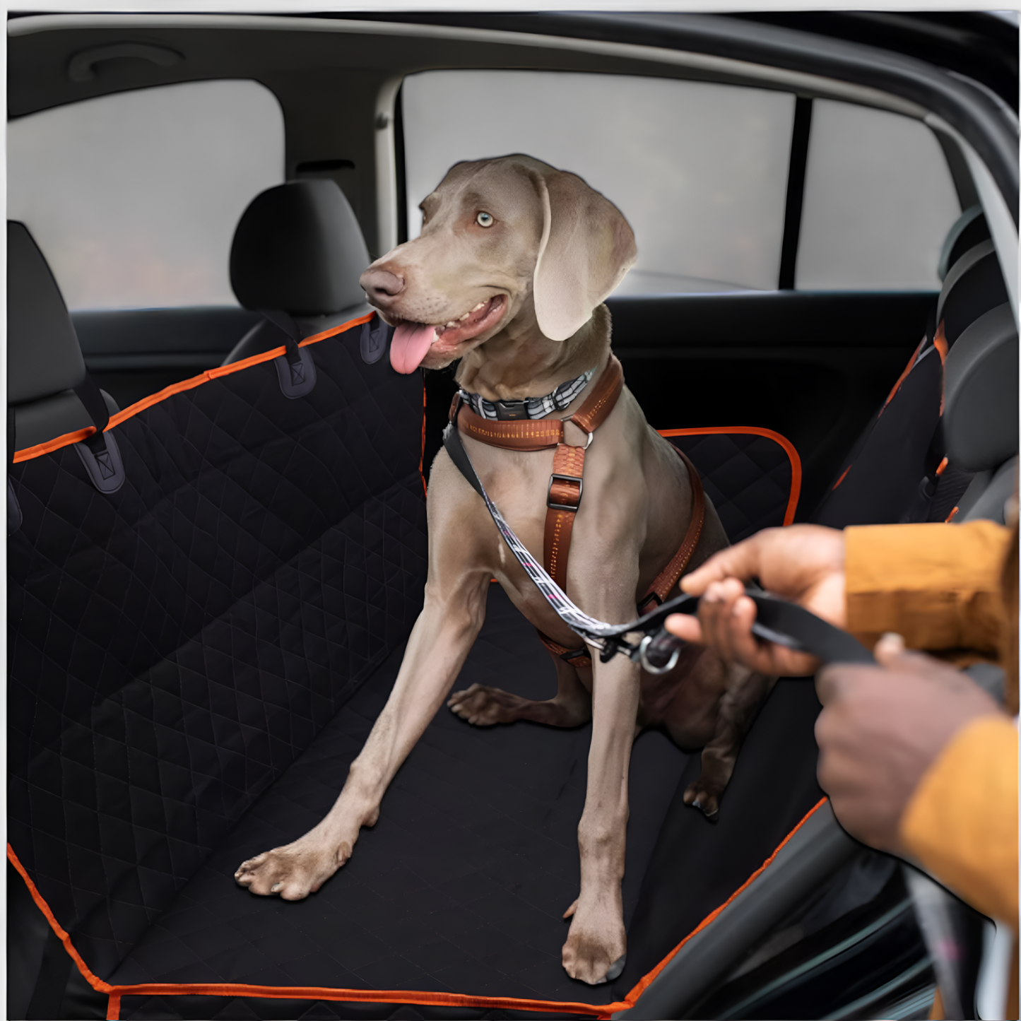 Dog Car Seat Extender for Comfortable and Safe Travel