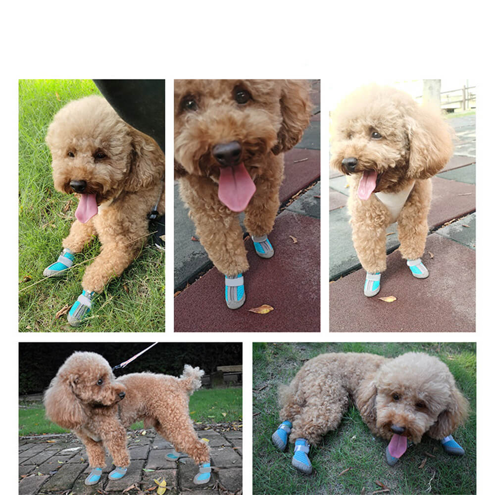 Durable Mesh Hiking Shoes for Small Dogs - All-Terrain Paw Protection