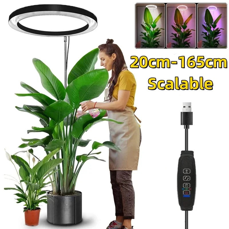 Full Spectrum Adjustable Grow Light for Indoor Plants