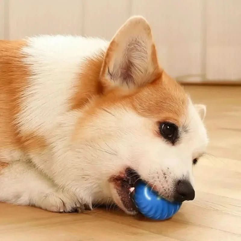Smart Play Ball with Automatic Movement for Active Dogs