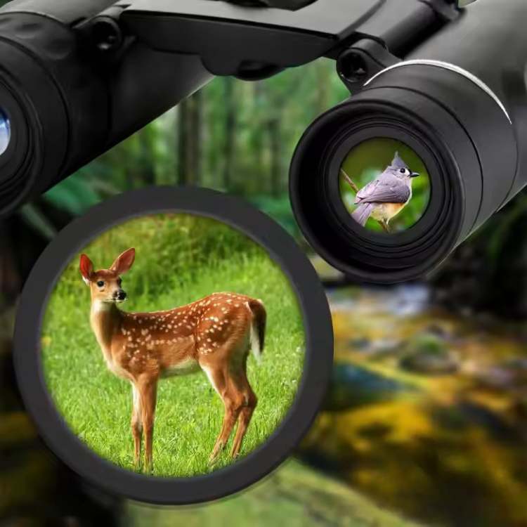 40x22 HD Long-Range Binoculars for Bird Watching and Stargazing