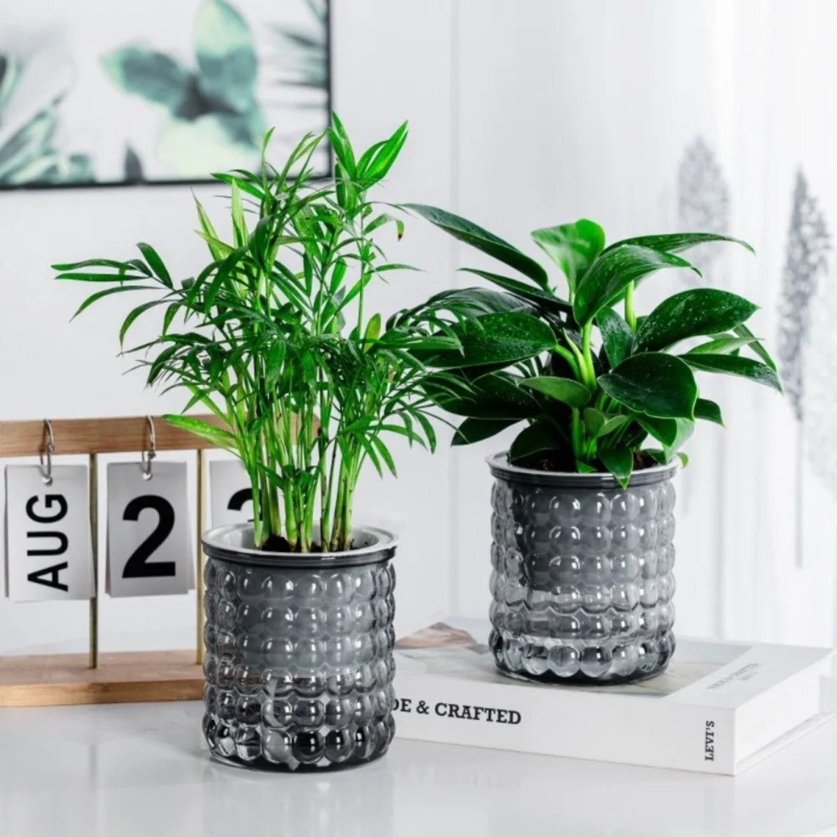 Eco-Friendly Self-Watering Hydroponic Planter Pot