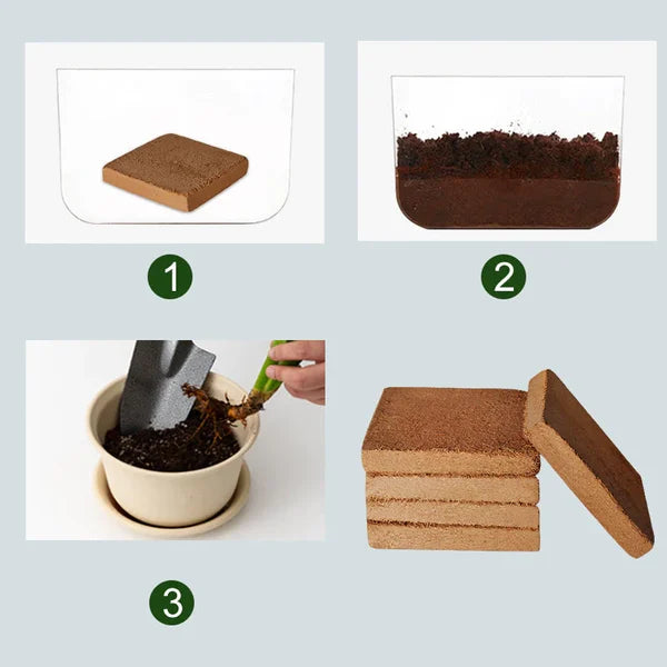 Organic Coconut Fiber Growing Medium for Indoor and Outdoor Plants