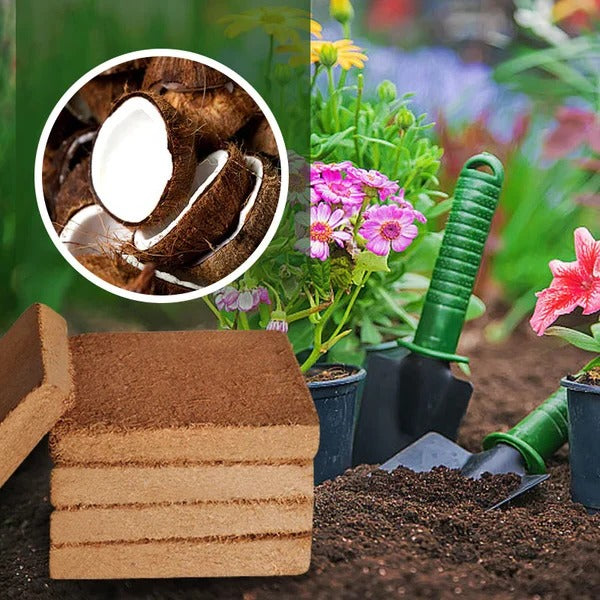 Organic Coconut Fiber Growing Medium for Indoor and Outdoor Plants