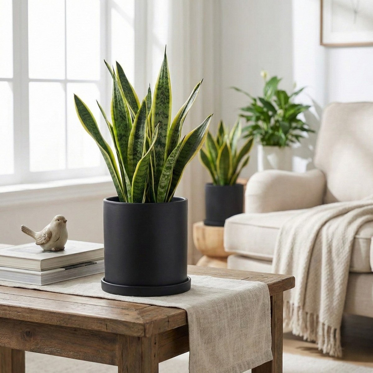 Elegant Ceramic Flowerpot with Matching Saucer