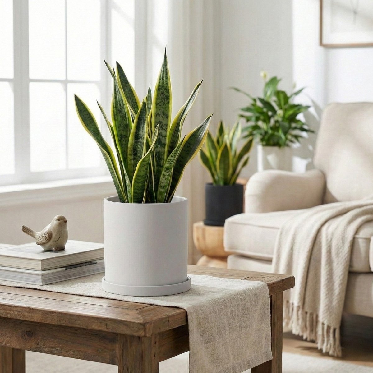 Elegant Ceramic Flowerpot with Matching Saucer