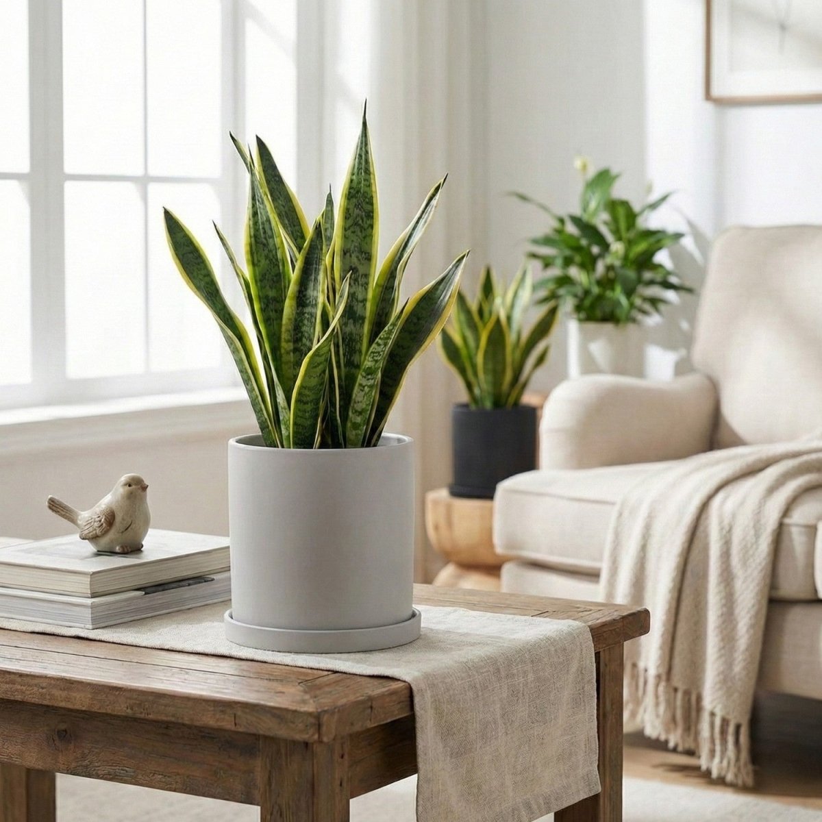 Elegant Ceramic Flowerpot with Matching Saucer