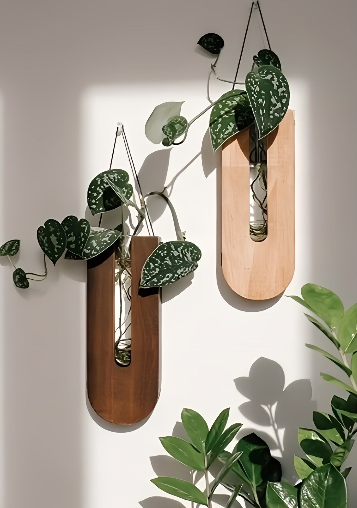 Wooden Wall Plant Holders Set for Vertical Display