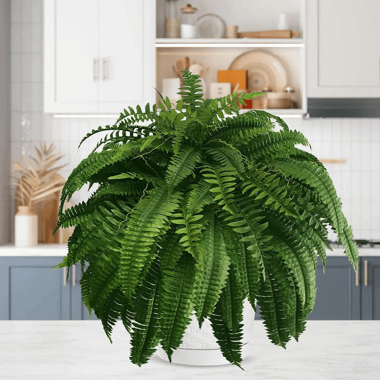Luxurious UV Resistant Artificial Boston Fern Plant