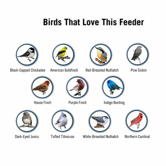 Squirrel-Proof Metal Wild Bird Feeder with Weight-Activated Perch