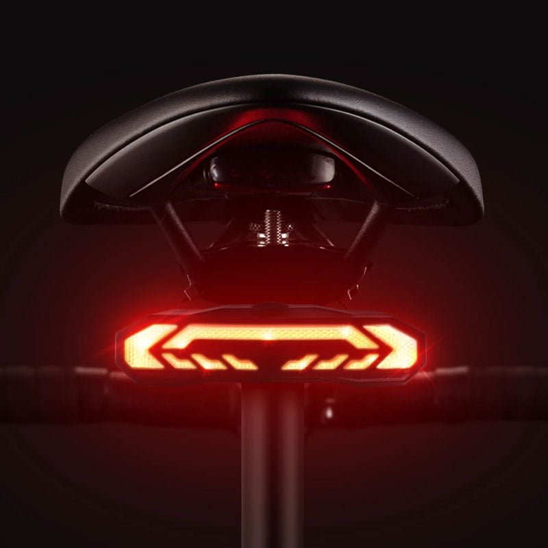 Intelligent USB Rechargeable Bicycle Rear Light with Alarm