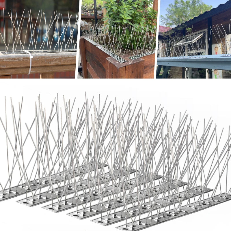Stainless Steel Bird Deterrent Spikes for Outdoor Use