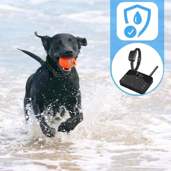 Wireless Dog Training Collar with Adjustable Area Fencing