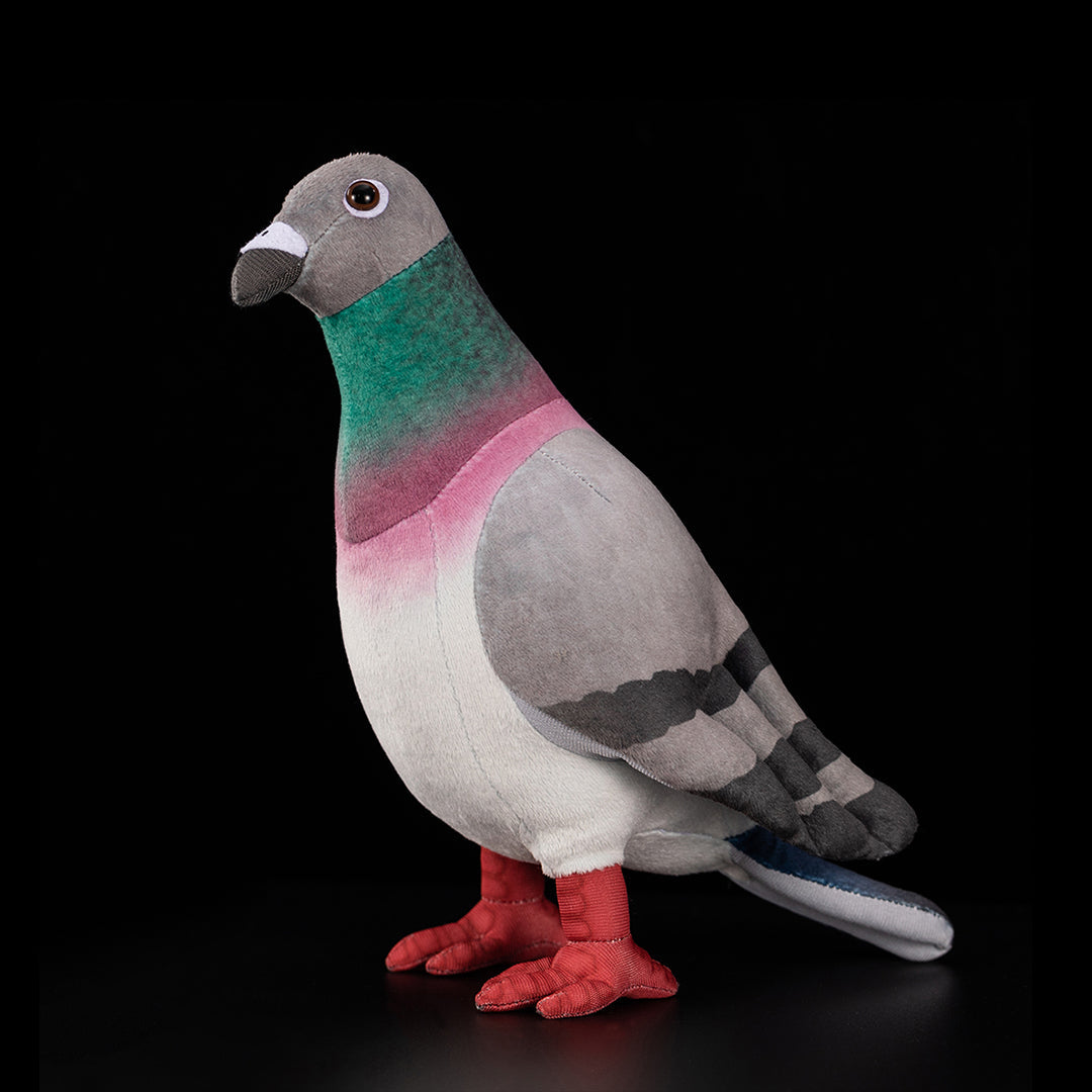 Common Pigeon Plush Stuffed Toy for Kids