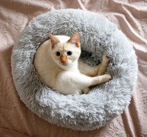 Round Plush Calming Pet Bed for Anxiety Relief