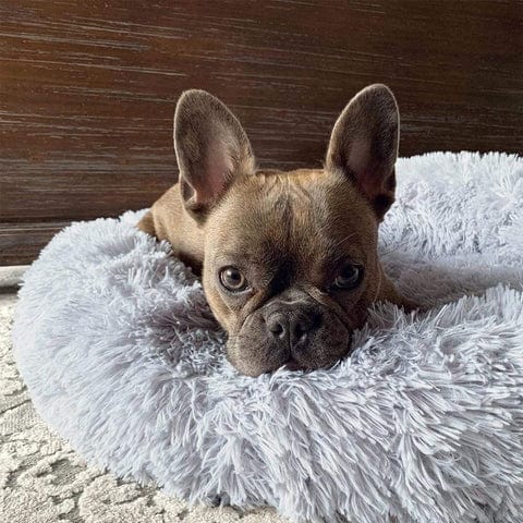 Round Plush Calming Pet Bed for Anxiety Relief