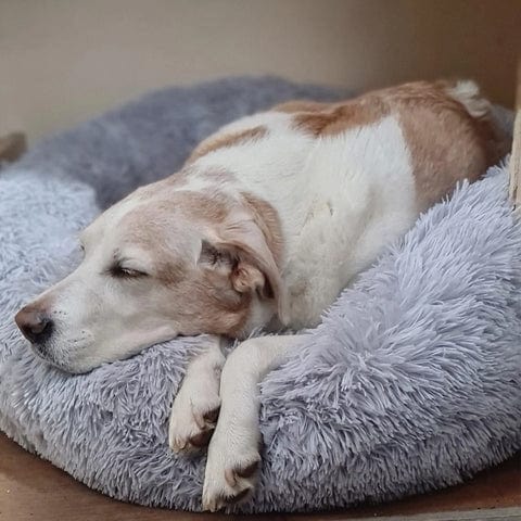 Round Plush Calming Pet Bed for Anxiety Relief