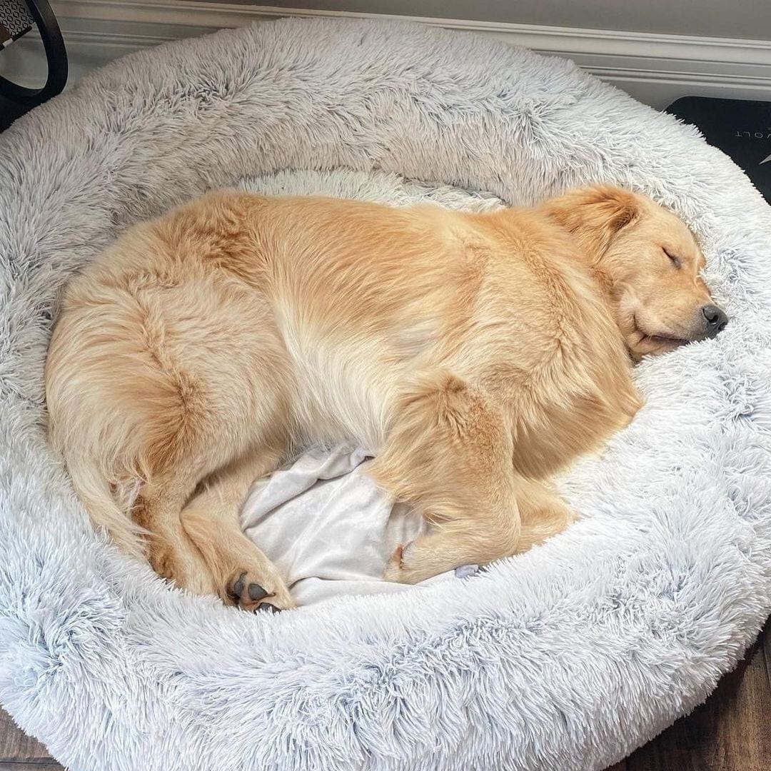 Round Plush Calming Pet Bed for Anxiety Relief